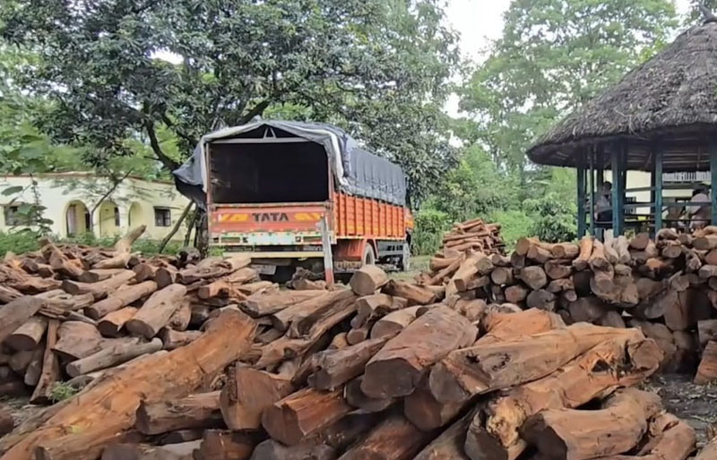 सिन्धुली हुँदै ‘खयर’ तस्करी, सुनसरीमा समातियो